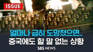 "세금 냈잖아 왜 XX이야!"…불 끈 상인들의 '적반하장 분노' - '가품 성지' 되어버린 시장 (이슈라이브) / SBS