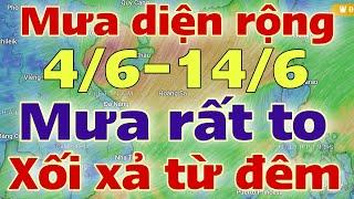 Dự báo thời tiết hôm nay và ngày mai 5/6/2024 | dự báo bão mới nhất | thời tiết 3 ngày tới