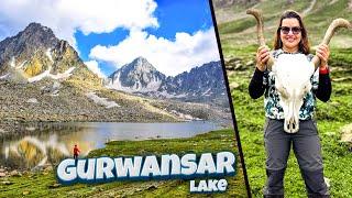Guwansar Lake | BODPATHRI Trek | Part - 10 | The World of Madhu Sharma