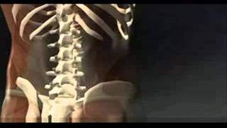 Mo Goulet Massage Therapy Hailey, Ketchum and Sun Valley Idaho