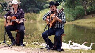 AS AVES DERAM UM SHOW À PARTE - Mayck e Lyan - Pescador e Catireiro (4K)