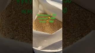 Готовим лакомство для  #фермерскоехозяйство #якутия #кфх #семейнаяферма #ферма #фермер #крс