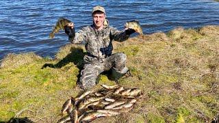 ПОШЛА ЖАРА! СТРАШНО ПРЕДСТАВИТЬ СКОЛЬКО ТУТ РЫБЫ ПОД ВОДОЙ. РЫБАЛКА 2024. Часть 2.