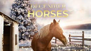 December Horses (2024) Official Trailer | Coming Soon to EncourageTV