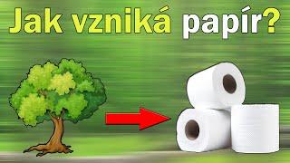 Jak se vyrábí a recykluje papír?