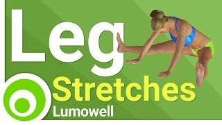 Leg Stretches for Flexibility