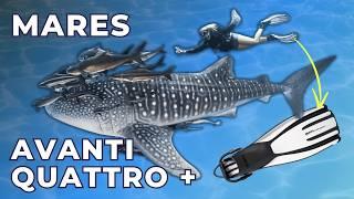 Divemasters love these scuba fins! Mares Avanti Quattro + [Fins Review 2024]