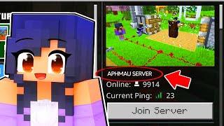 Whats On Aphmaus SECRET Minecraft SERVER?