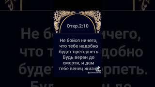 Будь верен!