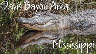 Davis Bayou Area, Gulf Islands National Seashore, Mississippi