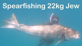 Spearfishing 22kg Jew and Spanish Mackerel