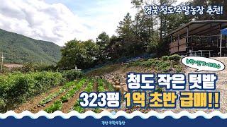 청도군 금천면 저렴한 주말농장 / 1억 초반 급매 토지  / 농업경영용 작은 텃밭