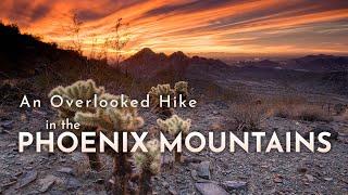 Hiking the Phoenix Mountains Preserve: Two Bit Peak