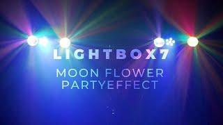 BeamZ LightBox7 2-in-1 Party Effect DMX