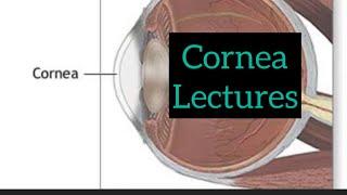 Cornea lectures part 4, Eye / opthalmology lectures #eyelectures #opthalmology #eye #cornea