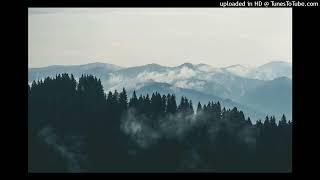 Clams Casino X Chris Travis TypeBeat - "Cry of the Mountains"(Prod.by VasisBeats)