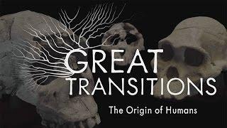 Great Transitions: The Origin of Humans — HHMI BioInteractive Video