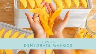 How to Dehydrate Mango | Luvele Breeze Dehydrator