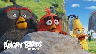 THE ANGRY BIRDS MOVIE -  Official Theatrical Trailer (HD)