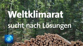 Weltklimarat in Genf: Was Landnutzung mit Klimawandel zu tun hat