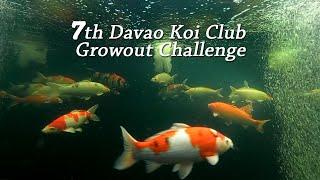 7th Davao Koi Club Growout Challenge