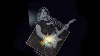 Tommy Bolin‘s guitar solo from Quadrant 4 - from Billy Cobham’s Spectrum album.