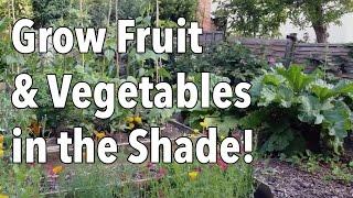 Grow Fruit and Vegetables...in the Shade!