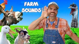 Exploring Animal Sounds with Farmer Jason! (Fun Educational Video For Kids)