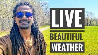 Live - Beautiful weather