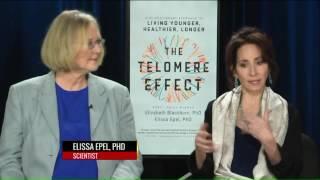 The Telomere Effect