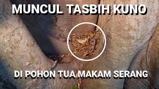 MUNCUL TASBIH KUNO DI SAMPING LOKASI MAKAM ALM.TAUFIK SAVALAS