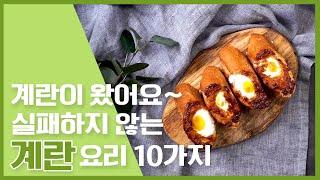 냉장고에 하나쯤 있는 달걀요리 레시피 10가지~! [만개의레시피]