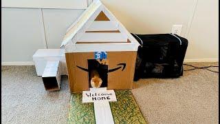 EPIC Cardboard Cat House for Kittens | DIY with Cardboard Boxes!