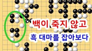 칠전팔기 타이젬 2급  상대방 1급 열심히 두기입니다실제둔 바둑기보입니다