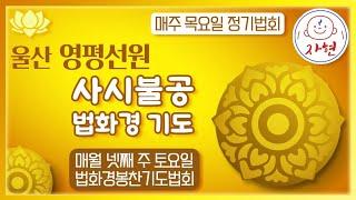 울산 영평선원 사시불공 라이브