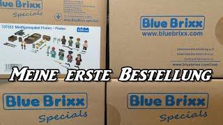 LEGO Fan geht alternativ/Meine erste Bluebrixx Bestellung/Grundplatten, Minifiguren/erster Eindruck!