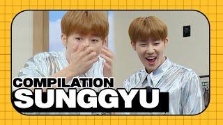 [ENG SUB] INFINTE SungGyu Compilation 