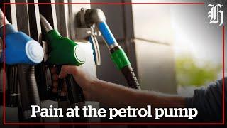 Focus: Petrol pump pain| nzherald.co.nz