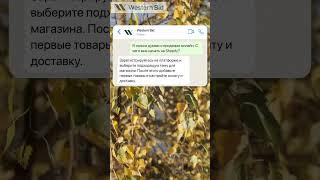 shopify с чего начать