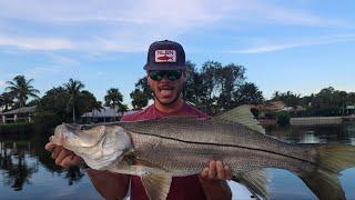 River Giants(Hundreds of Snook!!)