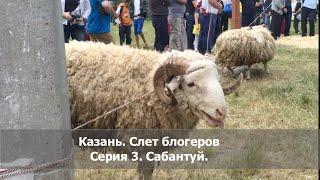 Казань, Нефорум блогеров. Сабантуй