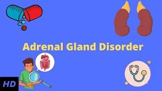 Adrenal Gland Disorder: Everything You Need to Know