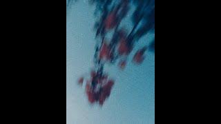 [FREE] untiljapan x sosocamo x Clams Casino Type Beat "TRAVELS" (prod.oson x mitchxy)