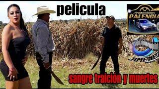 Sangre Traicion Y Muertes Película Completa en Español #PeliculasDeAccion #CineMexicano