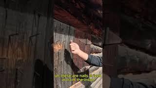 Why Are There NAILS All Over This Alaskan Cabin? (Bear-Proofing Secret!)