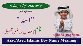 (EngSub) Asad/Ased (اسد) Boy Name Meaning/ Sahaba RA Name For Boys/ صحابہ کانام/Islami Boy Name