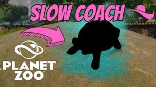 WHAT A SLOW COACH! PLANET ZOO SANDBOX MODE