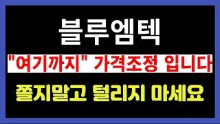 [블루엠텍 주가 전망] 털리지마세요 ! 어차피 "여기까지" 가격조정 입니다.