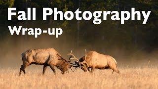 Fall Photography in the Tetons - Extra Photos and Footage