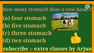 #amazingfacts about animals  # cow #shorts #full general knowledge